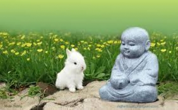 Ngồi thiền khi nào?
